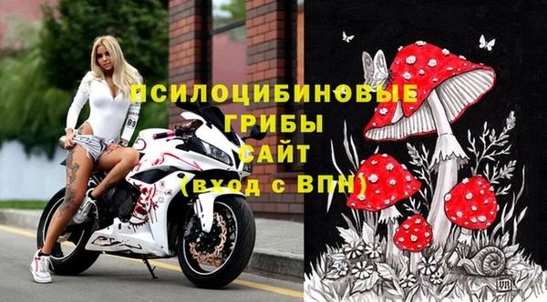 винт Баксан