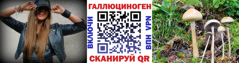 darknet наркотические препараты Пласт Галлюциногенные грибы ЛСД